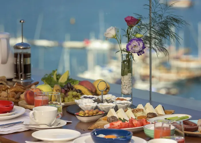 كازا مارغوت - للبالغين فقط